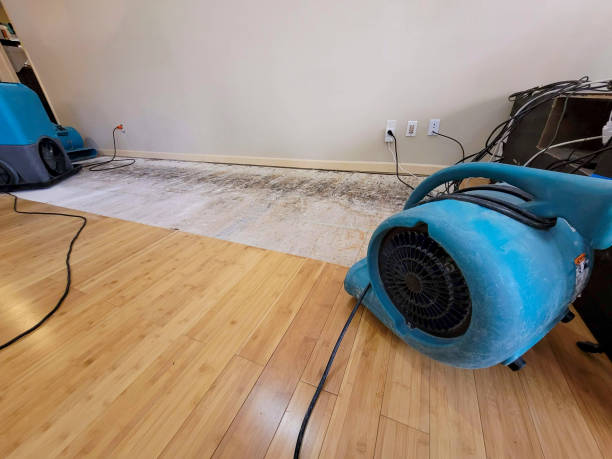 Professional Water Damage Repair technician working in Advance, MO